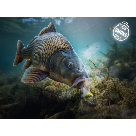 Appât d snax shell 10mm/30g - ail-butyric - 101004566_1